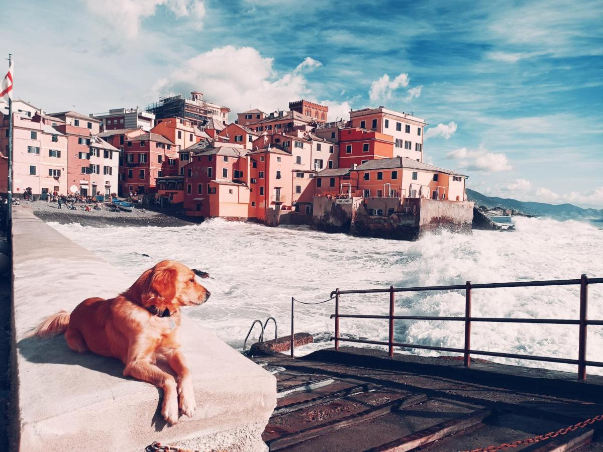 Il Giardino A Boccadasse Генуа Екстериор снимка